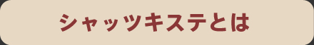 シャッツキステとは